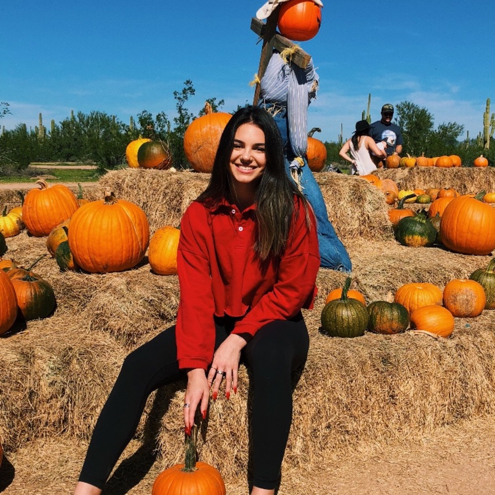 Brandy Melville Jones Sweatshirt